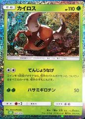 Pinsir card image