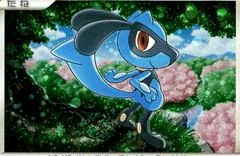 Riolu card image