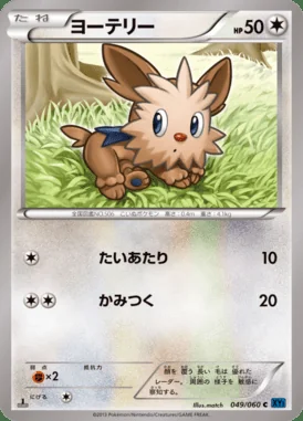 Lillipup card image