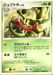 Grovyle card image