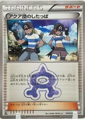 Team Aqua Grunt card image