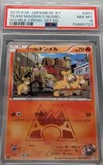 Team Magma's Numel card image