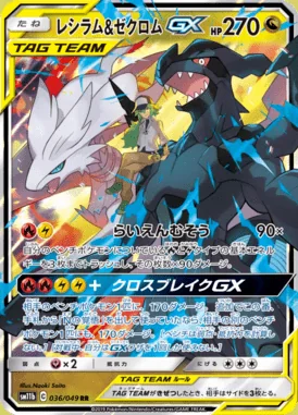 Reshiram & Zekrom GX card image