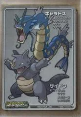 Gyarados & Rhydon card image