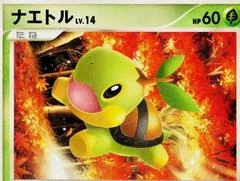 Turtwig card image