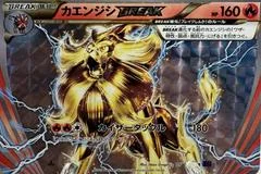 Pyroar BREAK card image