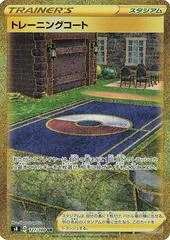 Training Court card image