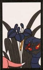 Arbok, Slowpoke (May) card image