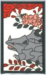 Exeggcute, Rhyhorn (July) card image