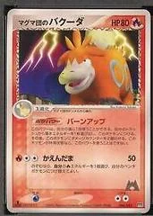 Camerupt card image