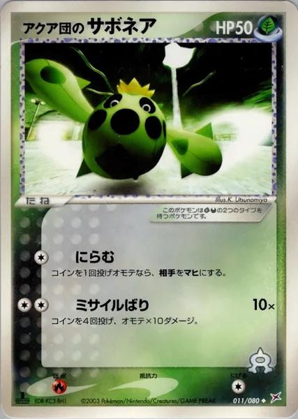 Team Aqua's Cacnea card image
