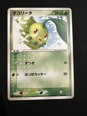Chikorita card image