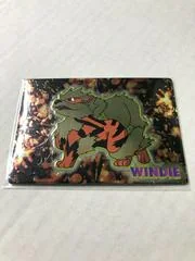 Windie card image