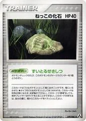 Root Fossil card image