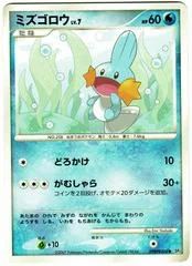 Mudkip card image