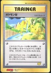 Pokemon Valley card image