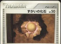 Skull Fossil card image