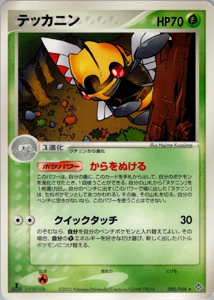 Ninjask card image