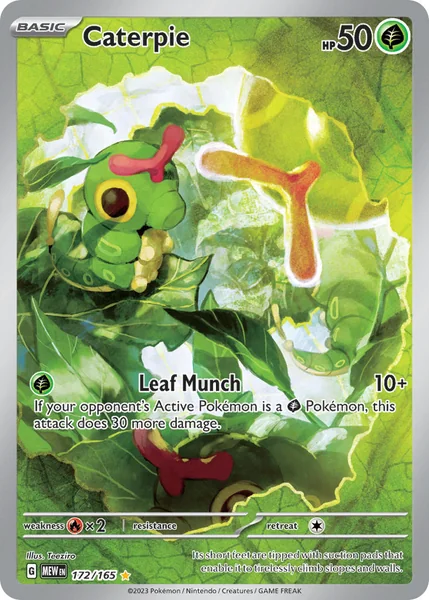 Caterpie card image