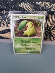 Chikorita card image
