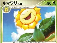 Sunflora card image