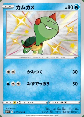 Chewtle card image