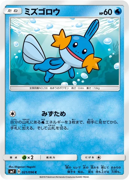 Mudkip card image