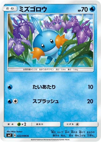 Mudkip card image