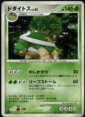 Torterra card image