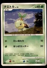 Turtwig card image