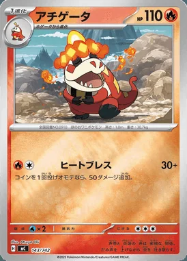 Pachirisu card image