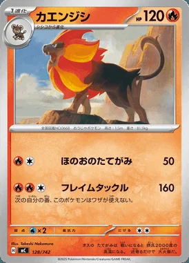 Raichu card image