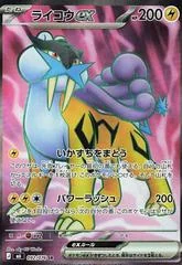 Raikou ex card image