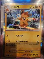 Pawmo card image