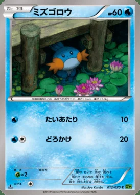 Mudkip card image