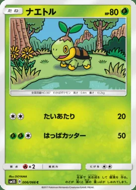 Turtwig card image