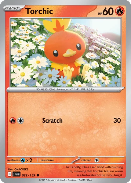 Torchic card image