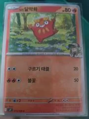 N's Darumaka card image