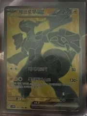 Zekrom Ex card image