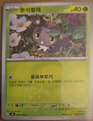 Scatterbug card image