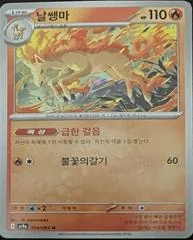 Rapidash card image