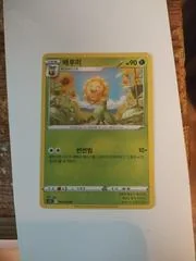 Sunflora card image
