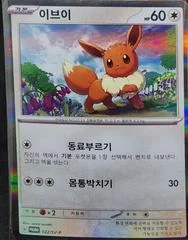 Eevee #22/SV-P card image