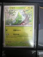 Metapod card image