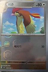 Pidgeotto card image