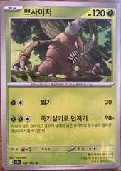 Pinsir card image