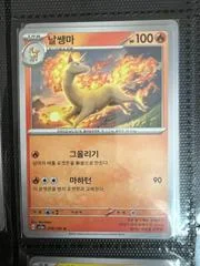 Rapidash card image