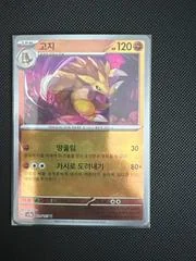 Sandslash card image
