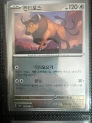 Tauros card image