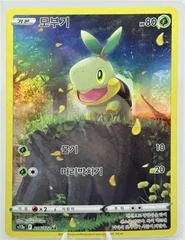 Turtwig card image